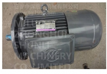 Yibin Electric Motor