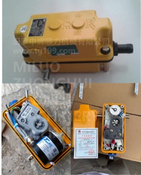 Limit Switch